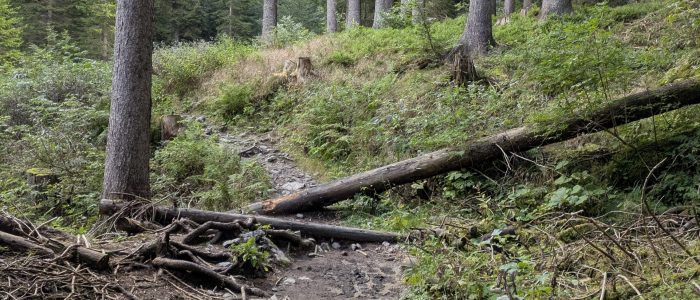 PXL_20250901_082104108