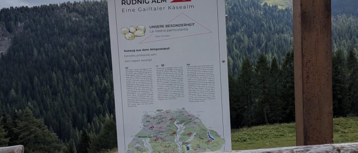 PXL_20250901_091903852